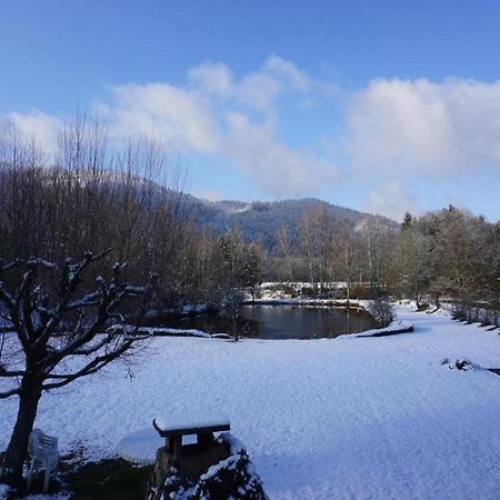 Charming Holiday Home Near The Ski Slopes Vagney Екстер'єр фото