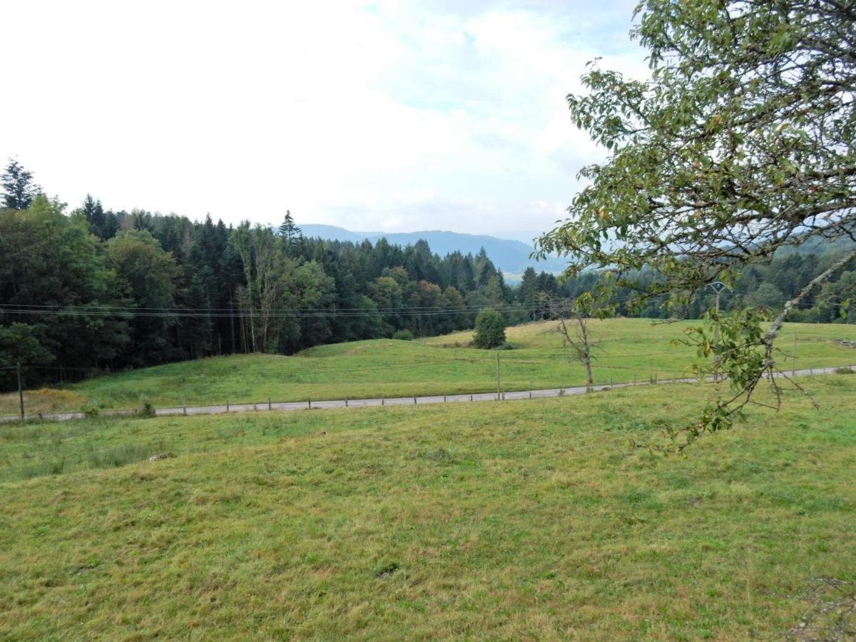 Charming Holiday Home Near The Ski Slopes Vagney Екстер'єр фото