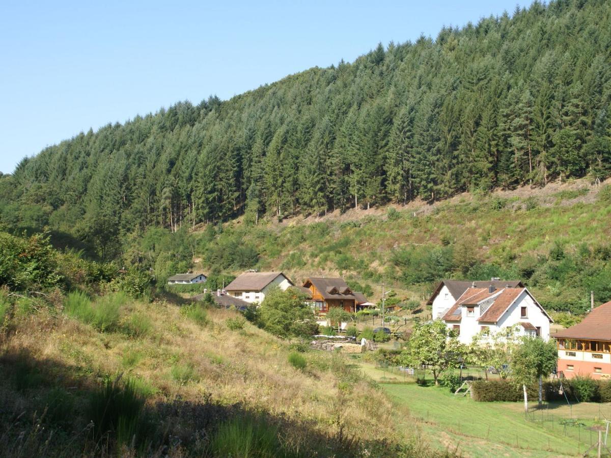 Charming Holiday Home Near The Ski Slopes Vagney Екстер'єр фото